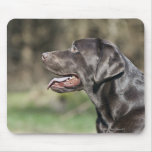 UK, England, Suffolk, Thetford Forest, Profile Mouse Pads