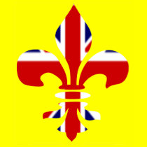 UK fleur-de-lis - T-shirt t-shirts