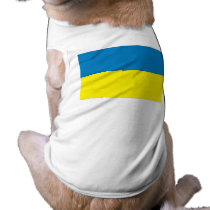 Ukraine pet clothing