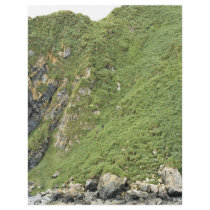 Ulak Island Flyer