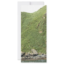 Ulak Island Rack Cards