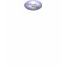 Ladies Baby Doll (Fitted)