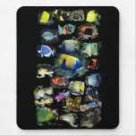 Ultimate ReefFish Mousepad