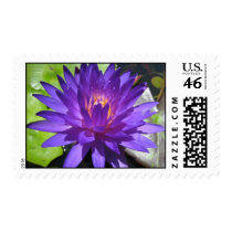 Ultra Violet postage