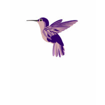 Ultraviolet Garden Hummingbird t-shirts