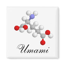 Umami magnets by Nushka Umami magnets