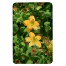 Umatilla Oregon Flora Flowers Plants Botany Magnet