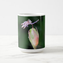 Umatilla Oregon Flora Flowers Plants Botany Coffee Mugs