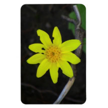 Umatilla Oregon Flora Flowers Plants Botany Rectangular Magnet