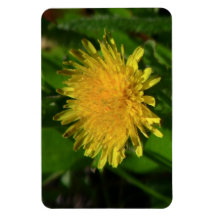 Umatilla Oregon Flora Flowers Plants Botany Rectangle Magnet