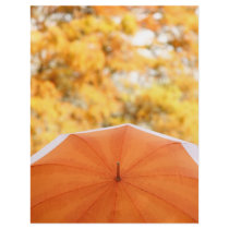 Umbrella and Autumn Colors Personalized Flyer