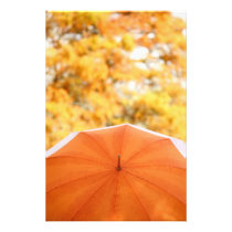 Umbrella and Autumn Colors Photo Art