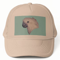 Umbrella Cockatoo Parrot hats
