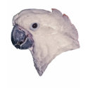 Umbrella Cockatoo Parrot t-shirts by kphotos Umbrella Cockatoo Parrot t-shirts