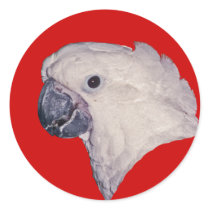 Umbrella Cockatoo Stickers
