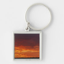 Umbrella Thorn Acacia, Acacia tortilis, 2 Keychain