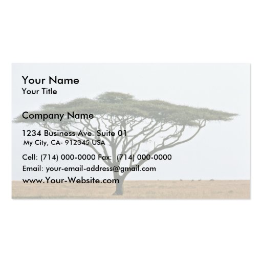 Umbrella Thorn Acacia Tree Business Cards (front side)