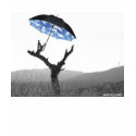 umbrella tree t-shirts