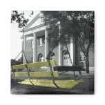 UMHB Swing Magnet