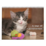 Un año de ridiculousness calendarios