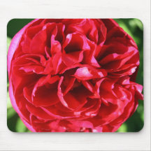 un cojín de ratón de la flor del peony tapetes de raton