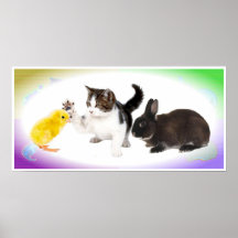 Un gatito, un conejito y un polluelo del bebé posters