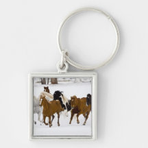 Un invierno escénico de caballos corrientes en llaveros personalizados