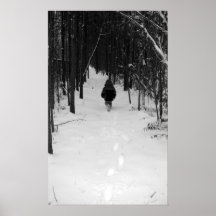 Un paseo en la nieve posters