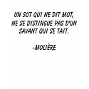 Un sot qui ne dit mot, ne se distingue pas d'un... t-shirts