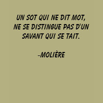 Un sot qui ne dit mot, ne se distingue pas d'un... t-shirts