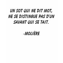Un sot qui ne dit mot, ne se distingue pas d'un... t-shirts by vbrisebois Un sot qui ne dit mot, ne se distingue pas d'un... t-shirts
