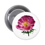 Una amapola rosada pins