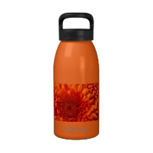 Una botella de agua