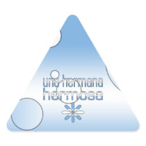 Una Hermana Hermosa Argentina Flag Colors Pop Art Triangle Stickers