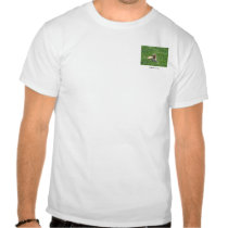 Una vida de los perros playeras