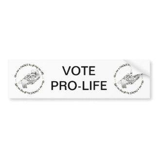 Unborn Baby: Give me a choice by giving me life