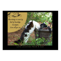 Uncertainty Life Lessons from a Cat ACEO Art Cards Business Cards