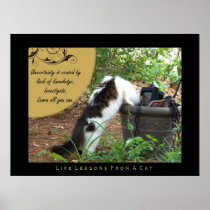 Uncertainty Life Lessons from a Cat Fine Art Print