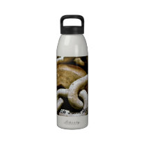 Uncle Junk ART water bottle water bottles