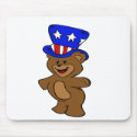 Uncle Sam Bear