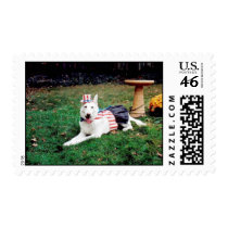 Uncle Sam White Shepherd postage