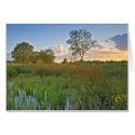 Uncommon Common Land cards by nightsky Uncommon Common Land cards