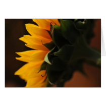 Uncommonly Beautiful notecard (sunflower) cards