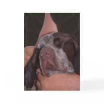 Unconditional Love cards by StarLily Unconditional Love cards
