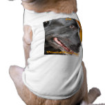 UNCONDITIONAL LOVE DOG CLOTHING