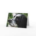 Unconditional Love greeting card by gts1959 Unconditional Love greeting card