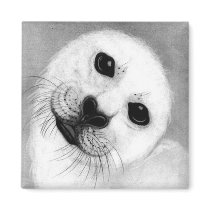 Unconditional Love Harp Seal magnets