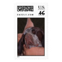Unconditional Love postage by StarLily Unconditional Love postage