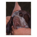 Unconditional Love posters by StarLily Unconditional Love posters