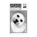 Unconditional Stamps by MidnightDreamer Unconditional Stamps